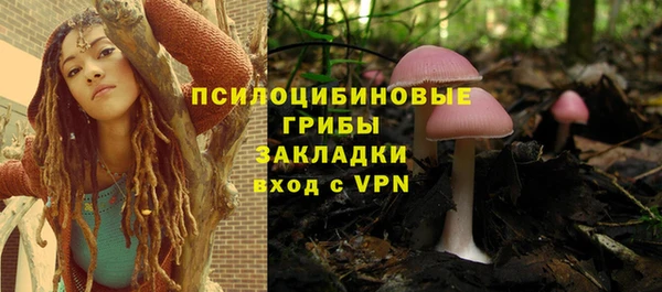 круглые Алексеевка