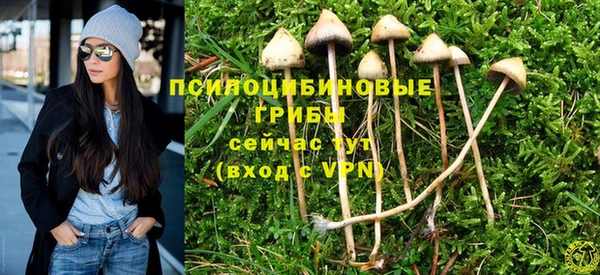круглые Алексеевка