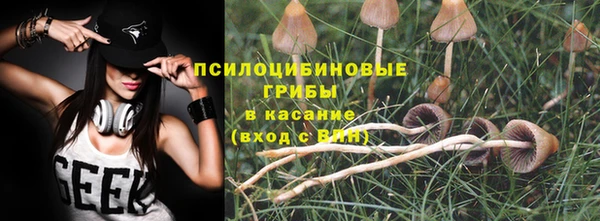 СК Алзамай